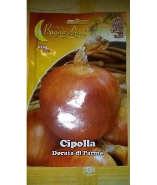 BUSTA SEMI CIPOLLA DORATA DI PARMA GR 3,50