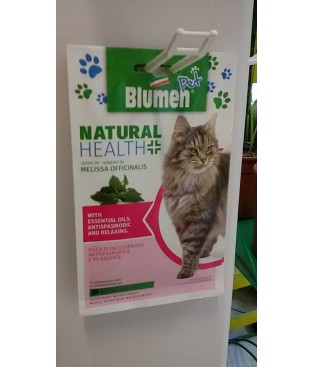 BUSTA SEMI  ERBA GATTO MELISSA OFFICINALIS 