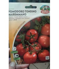 BUSTA SEMI POMODORO  TONDINO MAREMMANO GR1