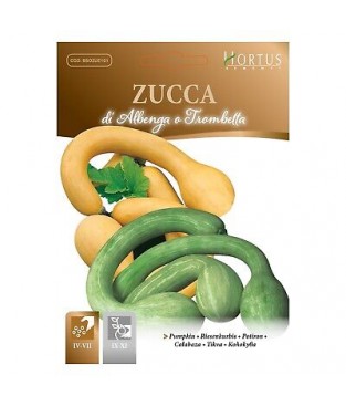 BUSTA SEMI ZUCCA TROMBETTA DI ALBENGA 