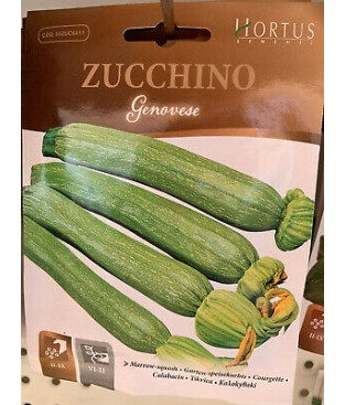 BUSTA SEMI ZUCCHINO  GENOVESE 