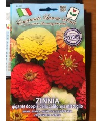 BUSTINA SEMI DI ZINNIA GIGANTE DOPPIA IN MIX 