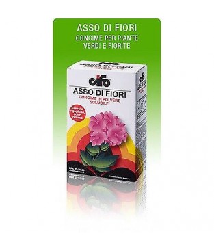 CIFO  CONCIME  ASSO DI FIORI 20/20/20 TRIPLO UTILIZZO CONF DA KG 1