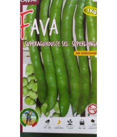 FAVA FAVE AGUADULCE SELEZIONE SUPER LONGA DA KG 1