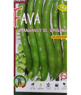 FAVA FAVE AGUADULCE SELEZIONE SUPER LONGA DA KG 1