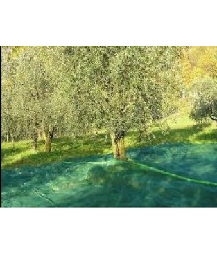 RETE PER OLIVE 10X10 ANTISPINA 