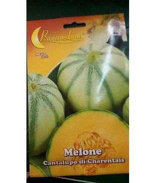 busta semi mellone CANTALUPO DI CHARENTAIS 