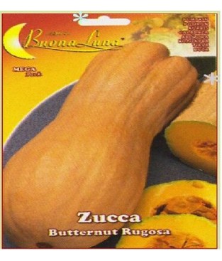    bustina semi di zucca butternut LISCIA